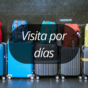 visita por días